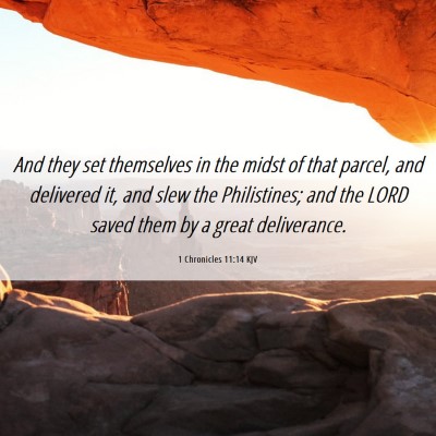 Picture 06 - 1 Chronicles 11:14 KJV - And they set themselves in the midst of that - Bible Verse Picture