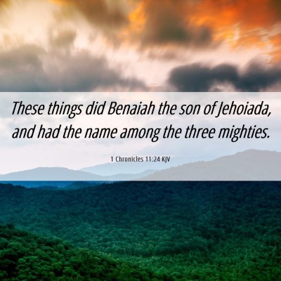 Picture 06 - 1 Chronicles 11:24 KJV - These things did Benaiah the son of Jehoiada, and - Bible Verse Picture