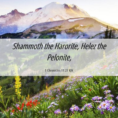 Picture 06 - 1 Chronicles 11:27 KJV - Shammoth the Harorite, Helez the - Bible Verse Picture