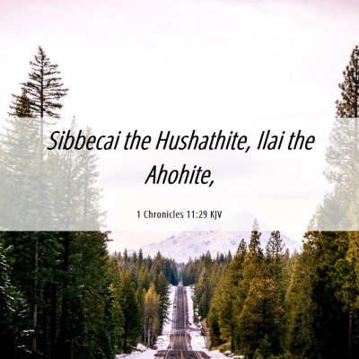 Picture 06 - 1 Chronicles 11:29 KJV - Sibbecai the Hushathite, Ilai the - Bible Verse Picture