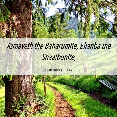 Picture 06 - 1 Chronicles 11:33 KJV - Azmaveth the Baharumite, Eliahba the - Bible Verse Picture