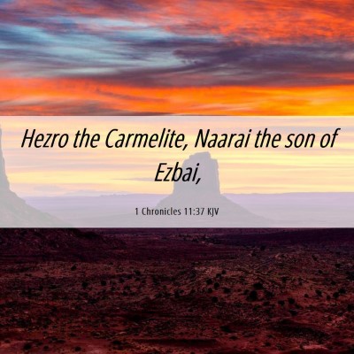 Picture 06 - 1 Chronicles 11:37 KJV - Hezro the Carmelite, Naarai the son of - Bible Verse Picture