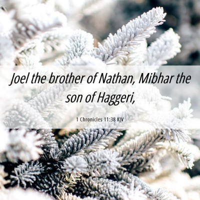 Picture 06 - 1 Chronicles 11:38 KJV - Joel the brother of Nathan, Mibhar the son of - Bible Verse Picture