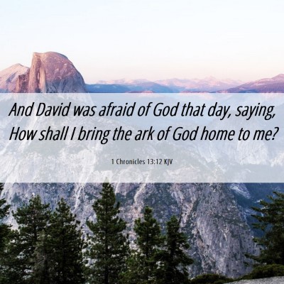 Picture 06 - 1 Chronicles 13:12 KJV - And David was afraid of God that day, saying, How - Bible Verse Picture