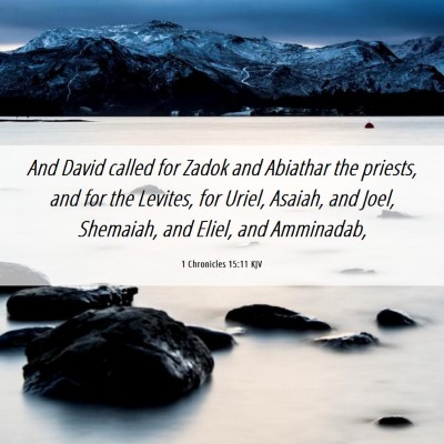 Picture 06 - 1 Chronicles 15:11 KJV - And David called for Zadok and Abiathar the - Bible Verse Picture