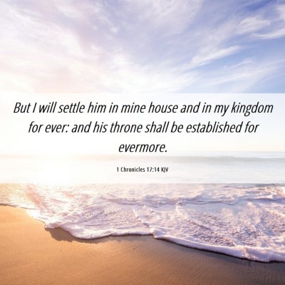 Picture 06 - 1 Chronicles 17:14 KJV - But I will settle him in mine house and in my - Bible Verse Picture