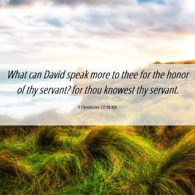 Picture 06 - 1 Chronicles 17:18 KJV - What can David speak more to thee for the honor - Bible Verse Picture