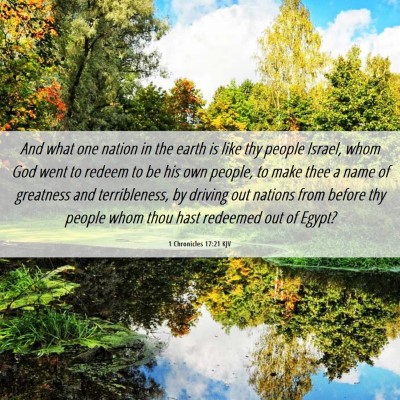 Picture 06 - 1 Chronicles 17:21 KJV - And what one nation in the earth is like thy - Bible Verse Picture