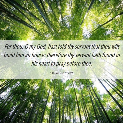 Picture 06 - 1 Chronicles 17:25 KJV - For thou, O my God, hast told thy servant that - Bible Verse Picture