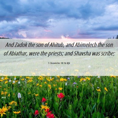 Picture 06 - 1 Chronicles 18:16 KJV - And Zadok the son of Ahitub, and Abimelech the - Bible Verse Picture