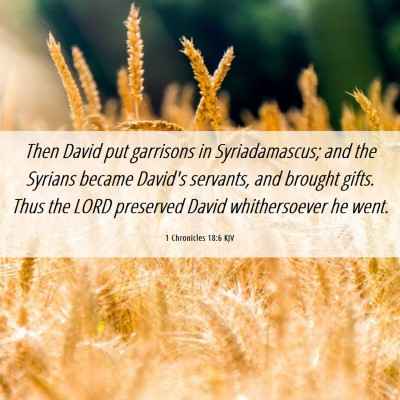 Picture 06 - 1 Chronicles 18:6 KJV - Then David put garrisons in Syriadamascus; and - Bible Verse Picture