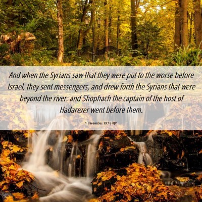 Picture 06 - 1 Chronicles 19:16 KJV - And when the Syrians saw that they were put to - Bible Verse Picture