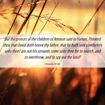 Picture 06 - 1 Chronicles 19:3 KJV - But the princes of the children of Ammon said to - Bible Verse Picture