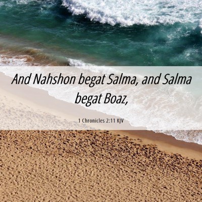 Picture 06 - 1 Chronicles 2:11 KJV - And Nahshon begat Salma, and Salma begat - Bible Verse Picture