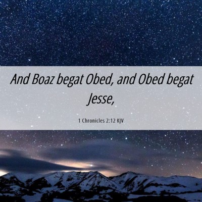 Picture 06 - 1 Chronicles 2:12 KJV - And Boaz begat Obed, and Obed begat - Bible Verse Picture