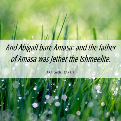 Picture 06 - 1 Chronicles 2:17 KJV - And Abigail bare Amasa: and the father of Amasa - Bible Verse Picture