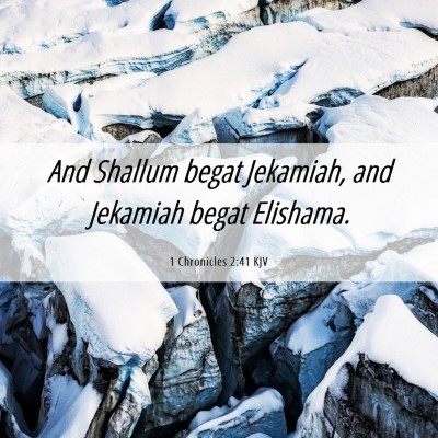 Picture 06 - 1 Chronicles 2:41 KJV - And Shallum begat Jekamiah, and Jekamiah begat - Bible Verse Picture