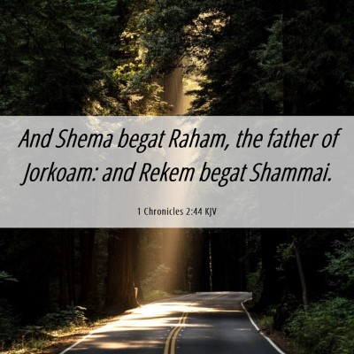Picture 06 - 1 Chronicles 2:44 KJV - And Shema begat Raham, the father of Jorkoam: and - Bible Verse Picture