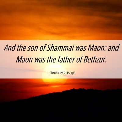 Picture 06 - 1 Chronicles 2:45 KJV - And the son of Shammai was Maon: and Maon was the - Bible Verse Picture