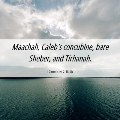 Picture 06 - 1 Chronicles 2:48 KJV - Maachah, Caleb's concubine, bare Sheber, and - Bible Verse Picture