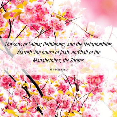 Picture 06 - 1 Chronicles 2:54 KJV - The sons of Salma; Bethlehem, and the - Bible Verse Picture