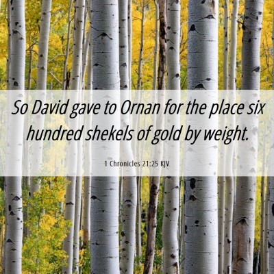 Picture 06 - 1 Chronicles 21:25 KJV - So David gave to Ornan for the place six hundred - Bible Verse Picture