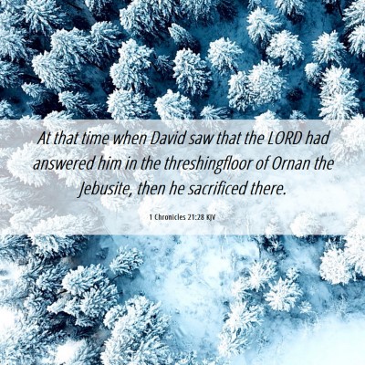 Picture 06 - 1 Chronicles 21:28 KJV - At that time when David saw that the LORD had - Bible Verse Picture