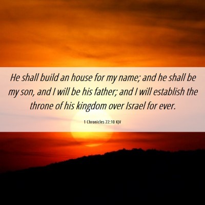 Picture 06 - 1 Chronicles 22:10 KJV - He shall build an house for my name; and he shall - Bible Verse Picture