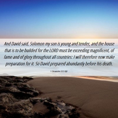 Picture 06 - 1 Chronicles 22:5 KJV - And David said, Solomon my son is young and - Bible Verse Picture