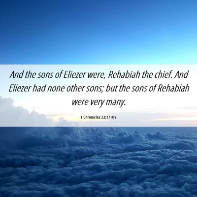 Picture 06 - 1 Chronicles 23:17 KJV - And the sons of Eliezer were, Rehabiah the chief. - Bible Verse Picture