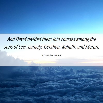 Picture 06 - 1 Chronicles 23:6 KJV - And David divided them into courses among the - Bible Verse Picture