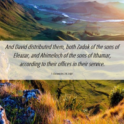 Picture 06 - 1 Chronicles 24:3 KJV - And David distributed them, both Zadok of the - Bible Verse Picture
