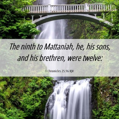 Picture 06 - 1 Chronicles 25:16 KJV - The ninth to Mattaniah, he, his sons, and his - Bible Verse Picture