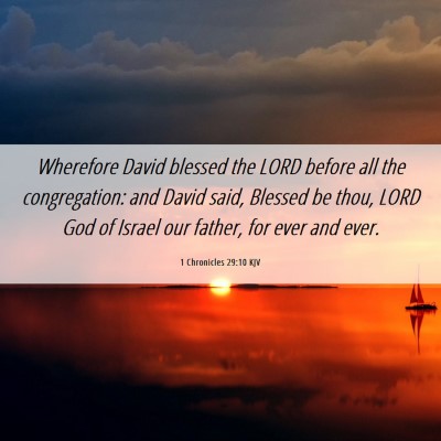 Picture 06 - 1 Chronicles 29:10 KJV - Wherefore David blessed the LORD before all the - Bible Verse Picture