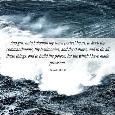 Picture 06 - 1 Chronicles 29:19 KJV - And give unto Solomon my son a perfect heart, to - Bible Verse Picture