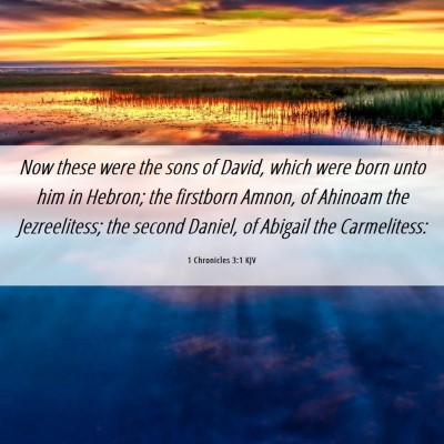 Picture 06 - 1 Chronicles 3:1 KJV - Now these were the sons of David, which were born - Bible Verse Picture