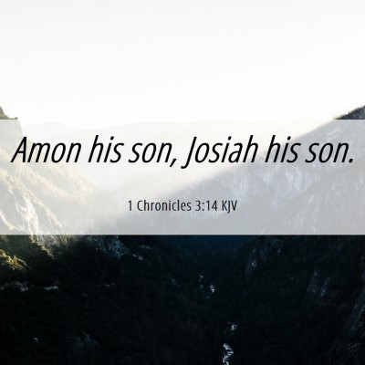 Picture 06 - 1 Chronicles 3:14 KJV - Amon his son, Josiah his - Bible Verse Picture