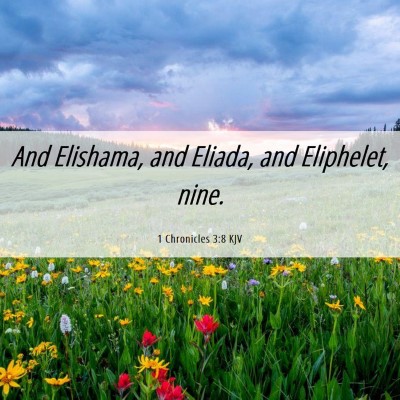 Picture 06 - 1 Chronicles 3:8 KJV - And Elishama, and Eliada, and Eliphelet, - Bible Verse Picture
