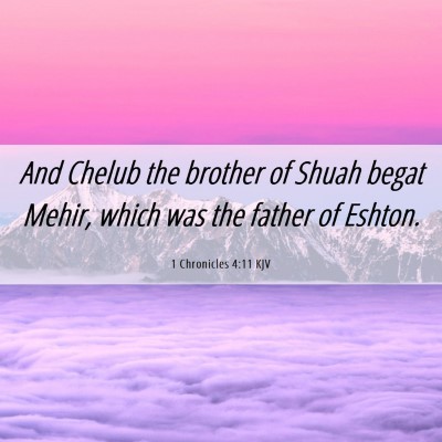 Picture 06 - 1 Chronicles 4:11 KJV - And Chelub the brother of Shuah begat Mehir, - Bible Verse Picture