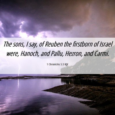 Picture 06 - 1 Chronicles 5:3 KJV - The sons, I say, of Reuben the firstborn of - Bible Verse Picture