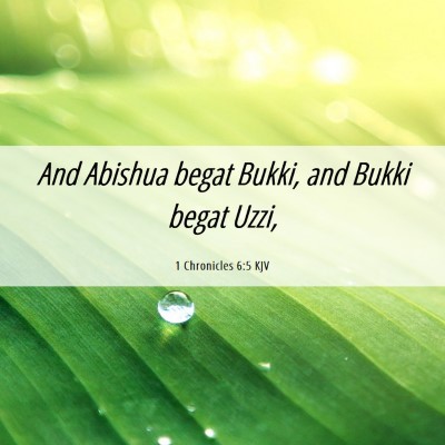 Picture 06 - 1 Chronicles 6:5 KJV - And Abishua begat Bukki, and Bukki begat - Bible Verse Picture