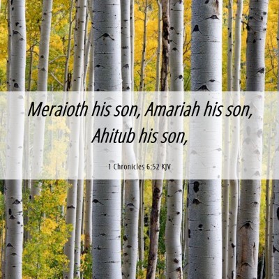 Picture 06 - 1 Chronicles 6:52 KJV - Meraioth his son, Amariah his son, Ahitub his - Bible Verse Picture