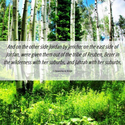 Picture 06 - 1 Chronicles 6:78 KJV - And on the other side Jordan by Jericho, on the - Bible Verse Picture