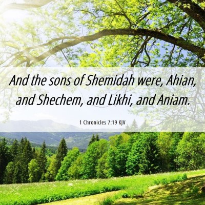 Picture 06 - 1 Chronicles 7:19 KJV - And the sons of Shemidah were, Ahian, and - Bible Verse Picture