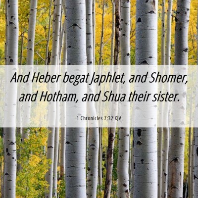 Picture 06 - 1 Chronicles 7:32 KJV - And Heber begat Japhlet, and Shomer, and Hotham, - Bible Verse Picture