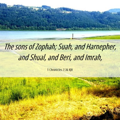 Picture 06 - 1 Chronicles 7:36 KJV - The sons of Zophah; Suah, and Harnepher, and - Bible Verse Picture