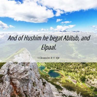 Picture 06 - 1 Chronicles 8:11 KJV - And of Hushim he begat Abitub, and - Bible Verse Picture