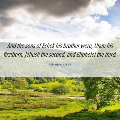 Picture 06 - 1 Chronicles 8:39 KJV - And the sons of Eshek his brother were, Ulam his - Bible Verse Picture