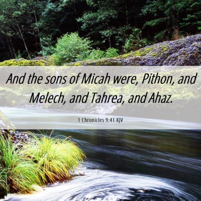 Picture 06 - 1 Chronicles 9:41 KJV - And the sons of Micah were, Pithon, and Melech, - Bible Verse Picture
