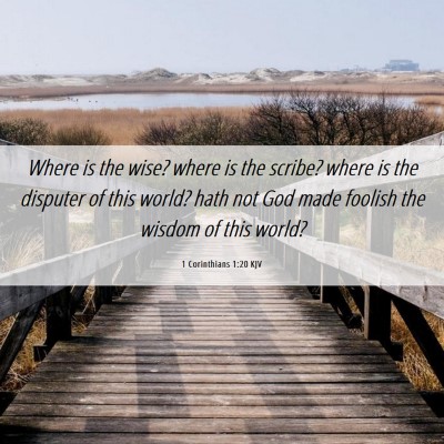 Picture 06 - 1 Corinthians 1:20 KJV - Where is the wise? where is the scribe? where is - Bible Verse Picture